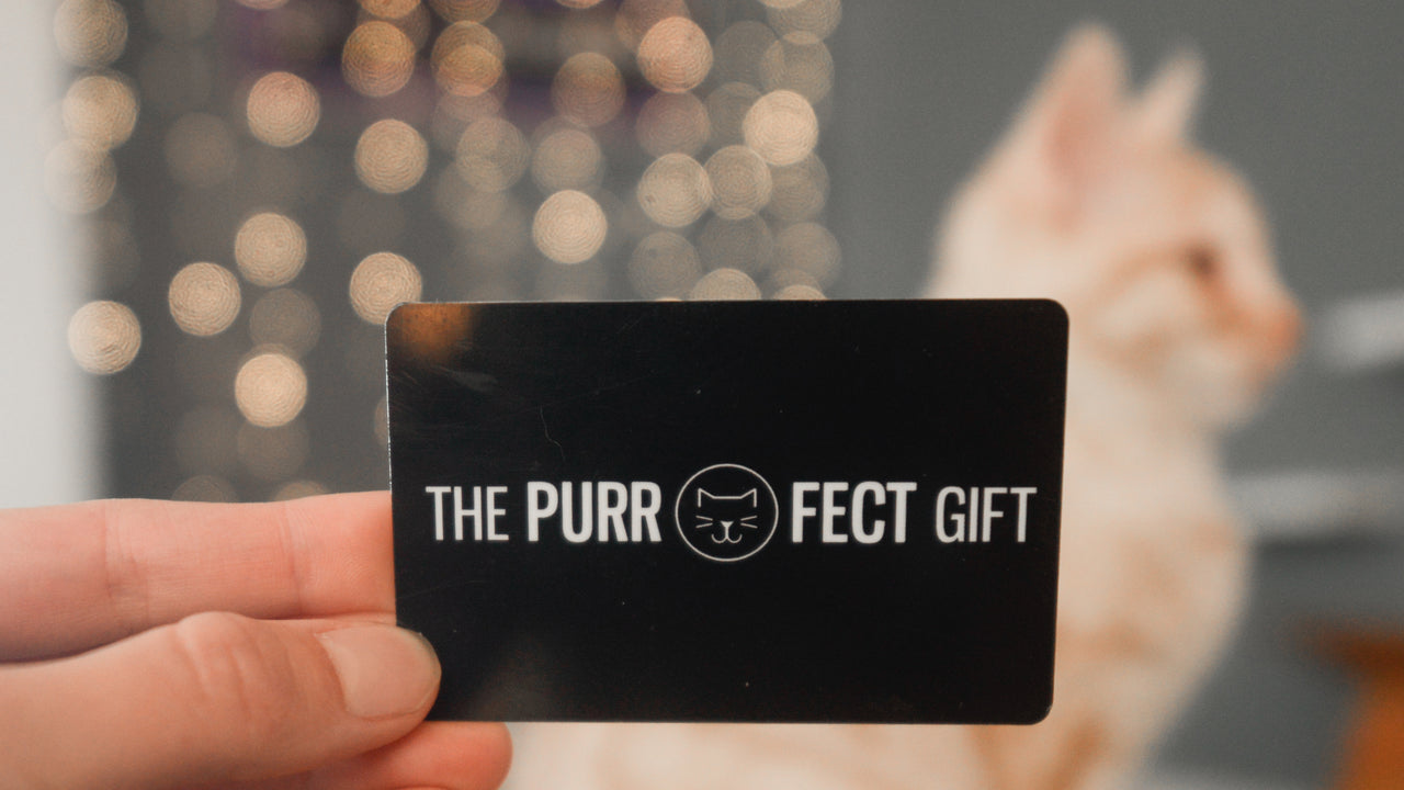 Physical Gift Card For Visits