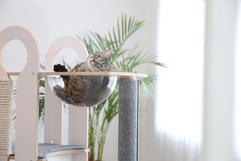 Our Favorite Cat Tower, Litter Box Furniture + More!