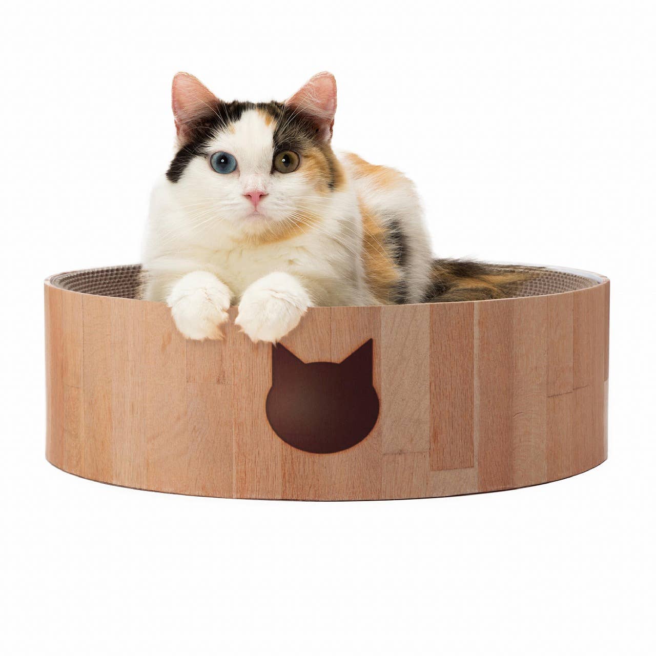 Cozy Cat Scratcher Bowl (Cat)