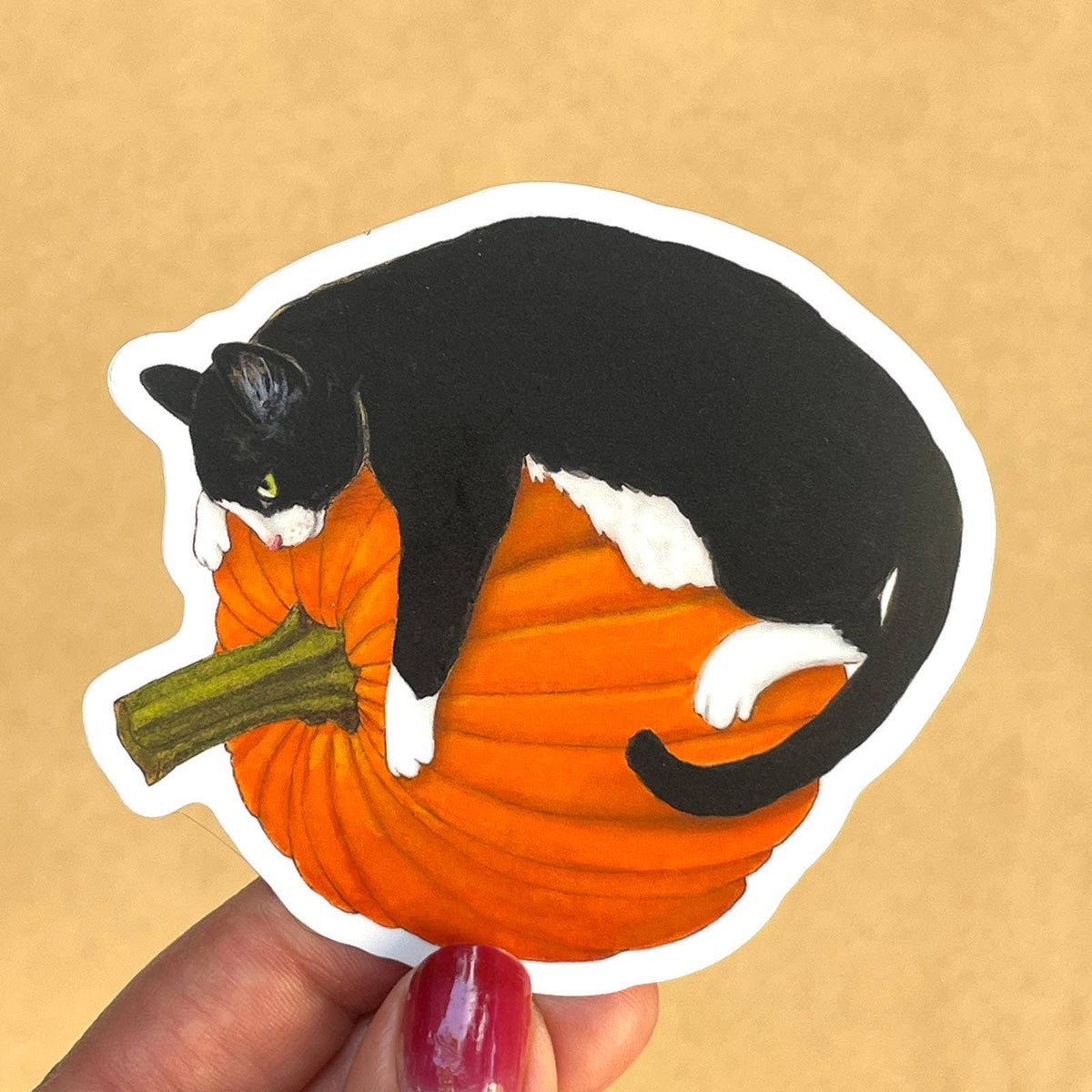 Pumpkin Hugger Tuxedo Cat - Vinyl STICKER   