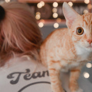Cat Therapy Cat Cafe & Cat Inspired Apparel logo