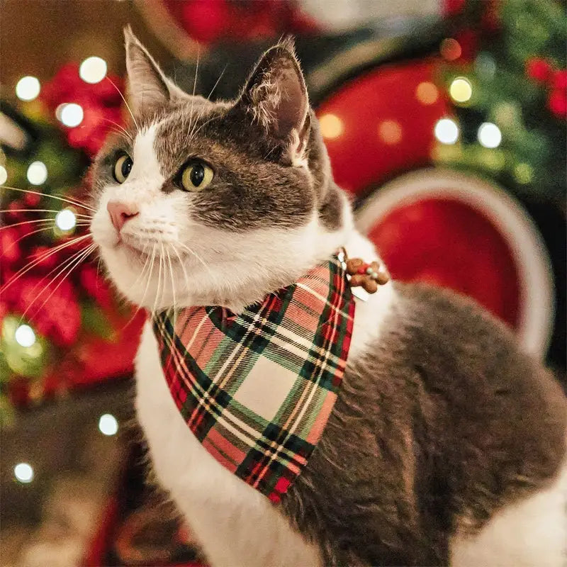 Cat handkerchief hot sale collar