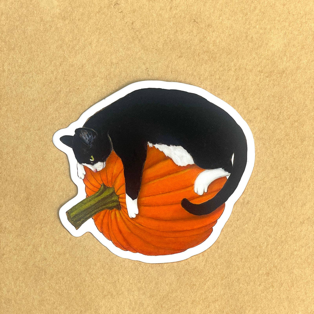 Pumpkin Hugger Tuxedo Cat - Vinyl STICKER   