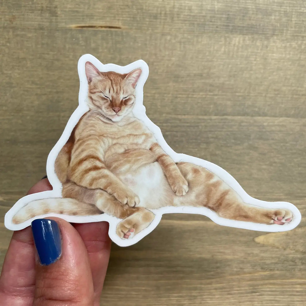 Illustrated Cat Sticker