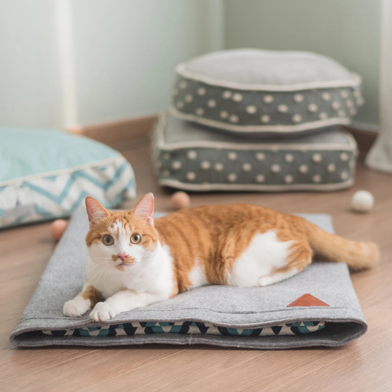 Pet Cave Blanket